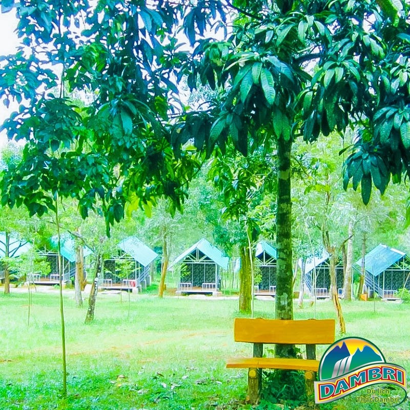 Cắm Trại tại Khu Du Lịch Đambri Bảo Lâm